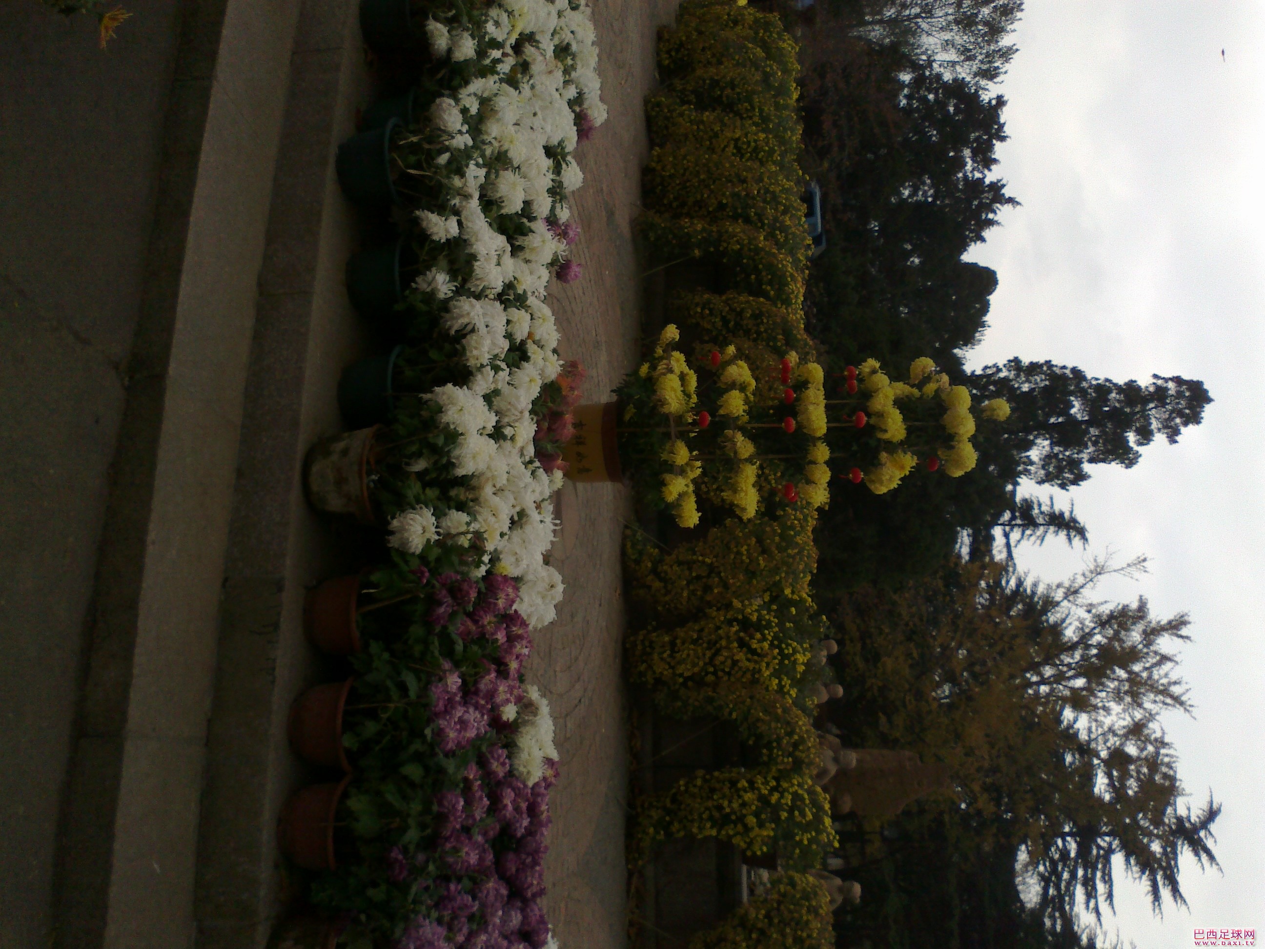 20111119111.jpg