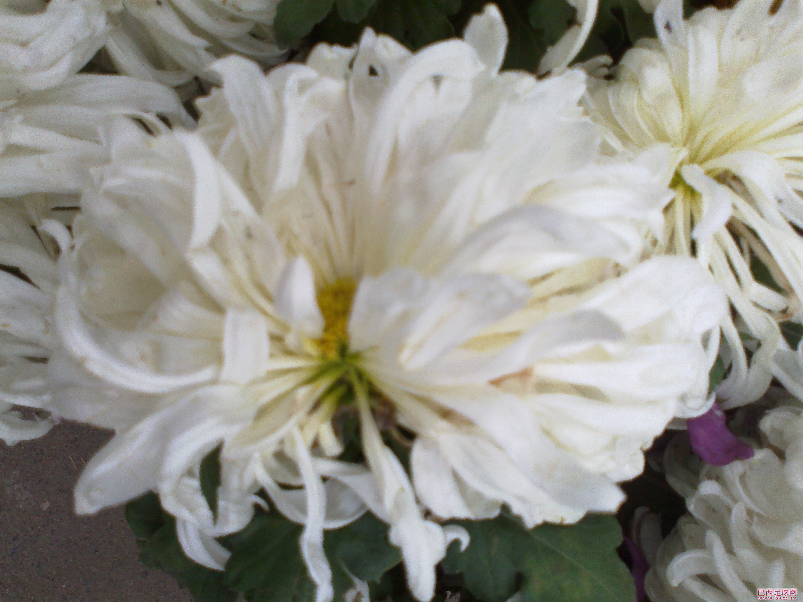 20111119112.jpg