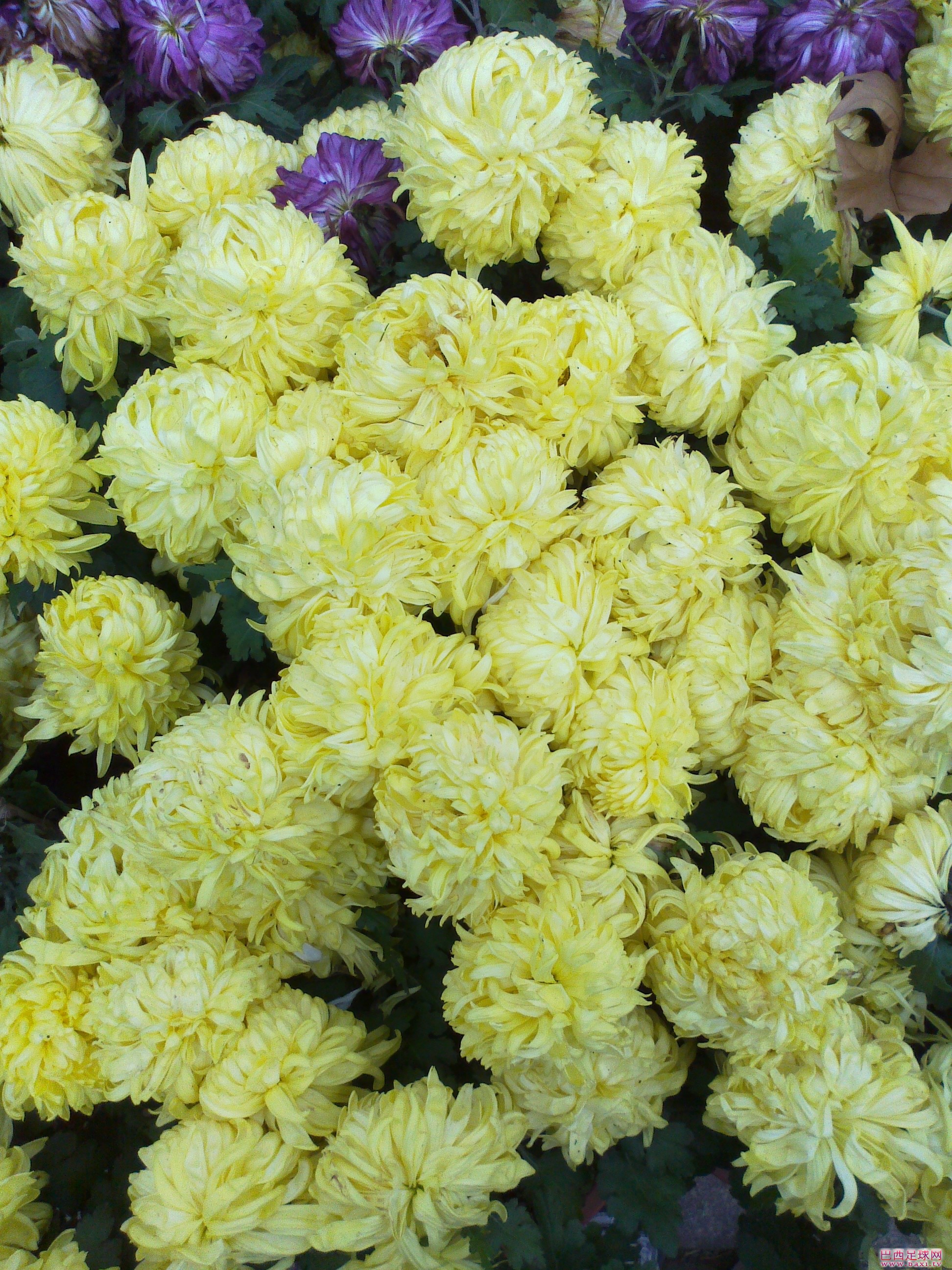 20111119114.jpg