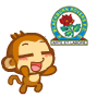 167_2405719_8a1611067ea7bf9.gif