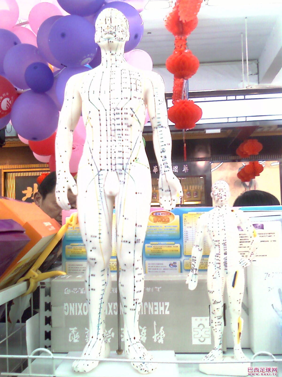 IMAG0102.jpg
