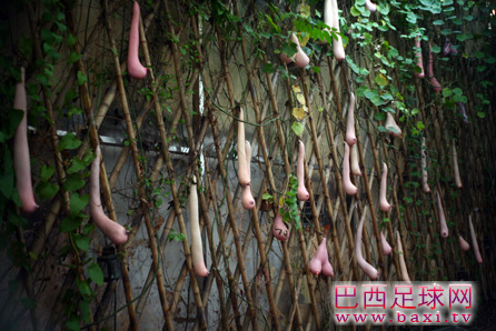 越南乳瓜4.png