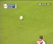 博格坎普.gif