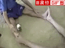 82d0e046jw1ds7p0da8yjg.gif