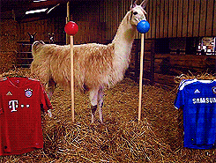 4ffbcf0ajw1dt3f08f0odg.gif