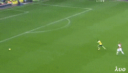 这是守门员吧？来我天朝当第一前锋.gif