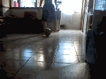 未命名.gif