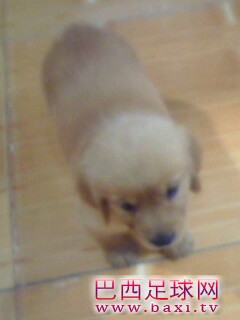 IMG0117A.jpg