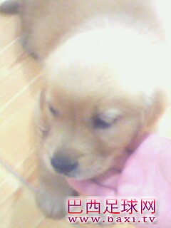 IMG0119A.jpg