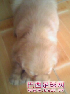 IMG0121A.jpg