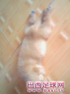 IMG0125A.jpg