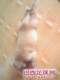 IMG0127A.jpg