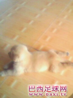 IMG0126A.jpg