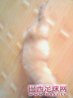 IMG0128A.jpg