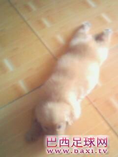 IMG0129A.jpg