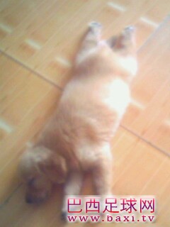 IMG0130A.jpg