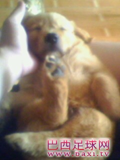 IMG0132A.jpg