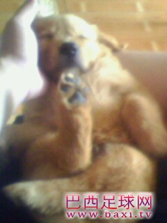 IMG0133A.jpg