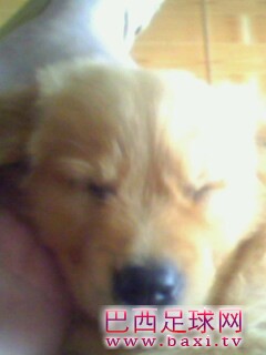 IMG0134A.jpg