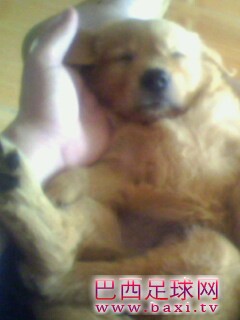 IMG0135A.jpg