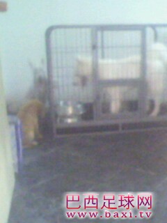IMG0140A.jpg