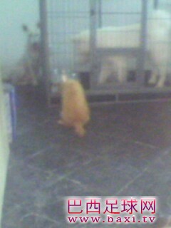 IMG0141A.jpg