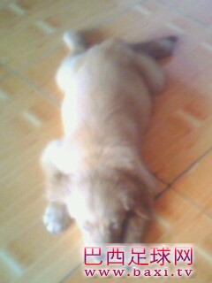 IMG0142A.jpg
