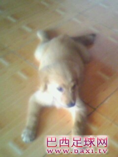 IMG0143A.jpg