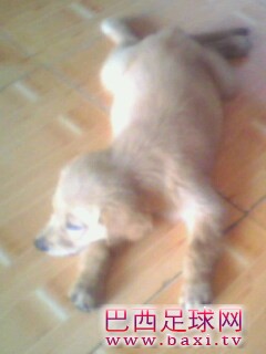 IMG0144A.jpg