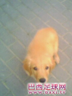 IMG0147A.jpg