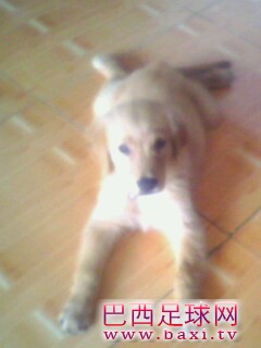 IMG0145A.jpg