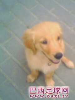 IMG0148A.jpg