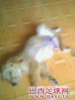 IMG0149A.jpg