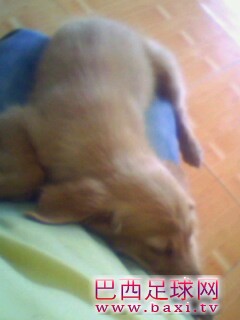 IMG0153A.jpg