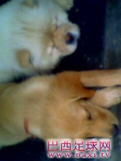 IMG0155A.jpg