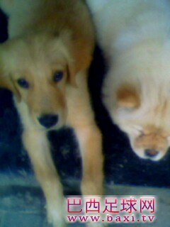 IMG0156A.jpg