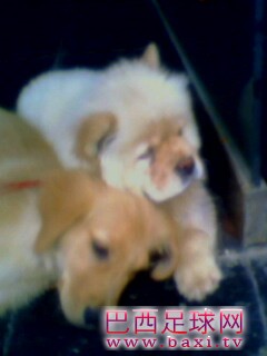 IMG0158A.jpg