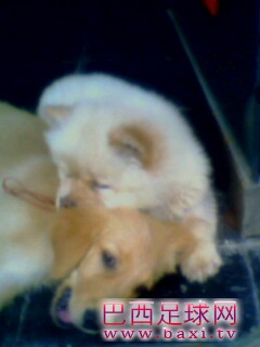 IMG0159A.jpg