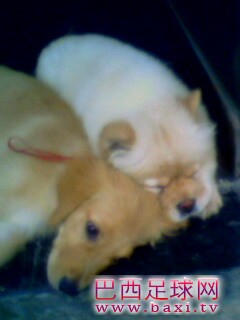 IMG0160A.jpg