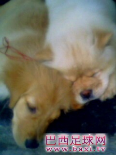 IMG0162A.jpg