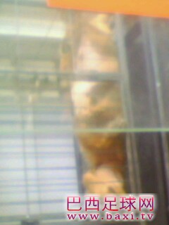 IMG0164A.jpg