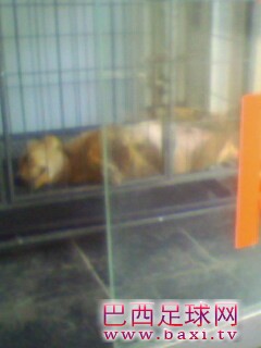 IMG0165A.jpg