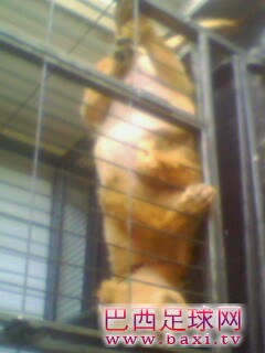 IMG0166A.jpg