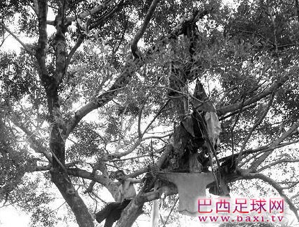 20120724174058053.jpg