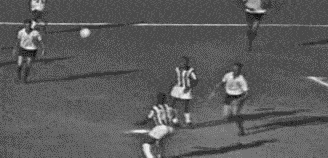 4.gif