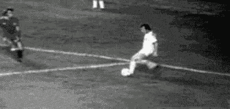 5.gif