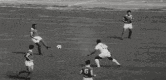 6.gif