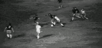 7.gif