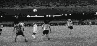 22.gif