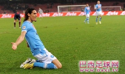 卡瓦尼成意甲2012年度射手王